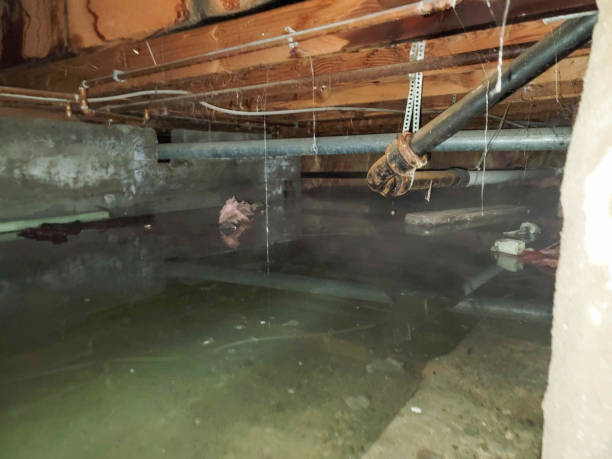 Best Emergency water damage restoration  in Kimberly, ID