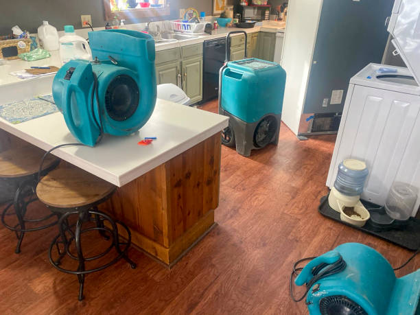 Best 24-hour water damage restoration  in Kimberly, ID