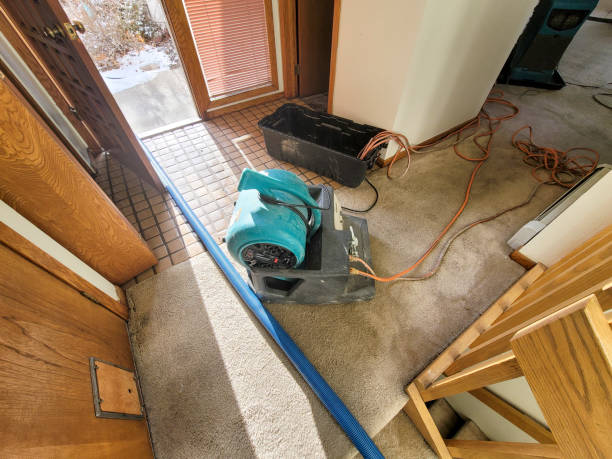 Best Mold removal after water damage  in Kimberly, ID