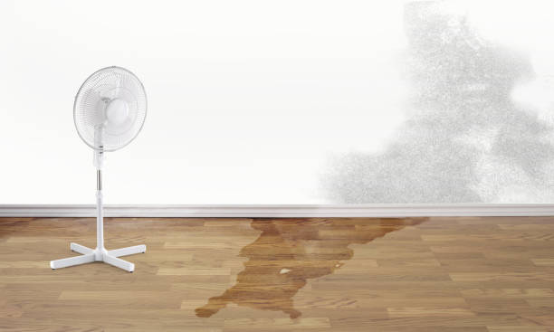Best Water damage restoration near me  in Kimberly, ID