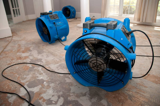 Best Local water damage restoration  in Kimberly, ID