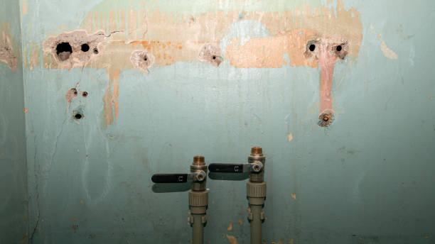 Best Water damage contractors near me  in Kimberly, ID