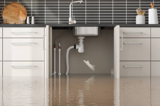 Best Ceiling water damage repair  in Kimberly, ID