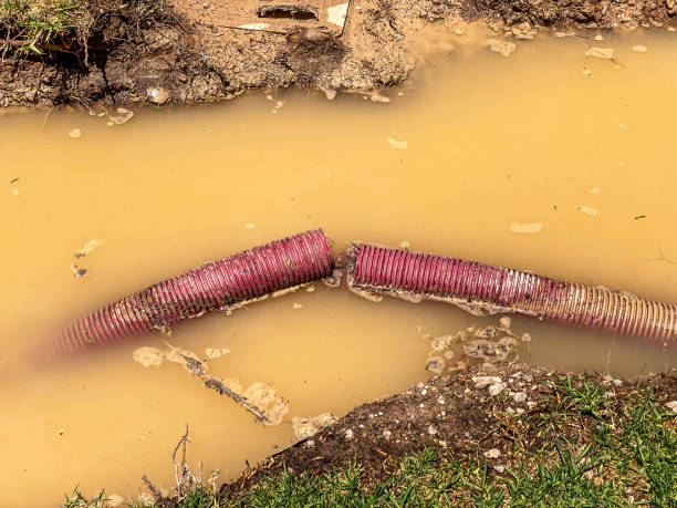 Best Carpet water damage restoration  in Kimberly, ID