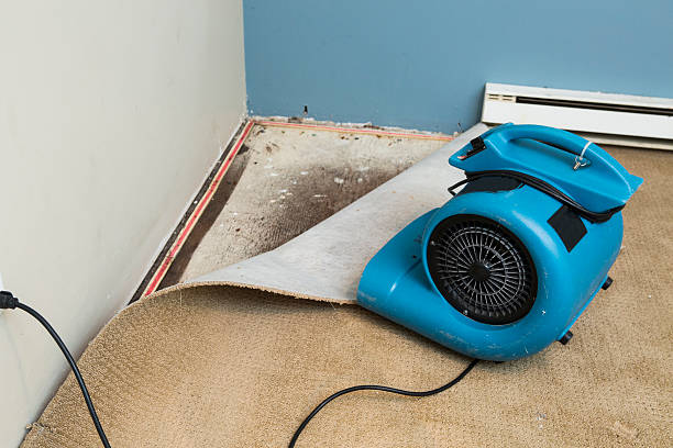 Best Water damage restoration near me  in Kimberly, ID